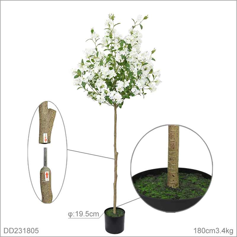 180 cm(70.87in)