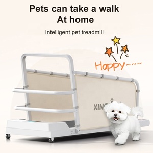 Fabbrica diretta su misura tapis roulant per cani che camminano macchina allenamento esercizio tapis roulant per animali domestici per cani - Product Image 4