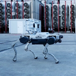 AI funzioni di riconoscimento visivo attraverso la programmazione basata sul cane Robot lampone - Product Image 6