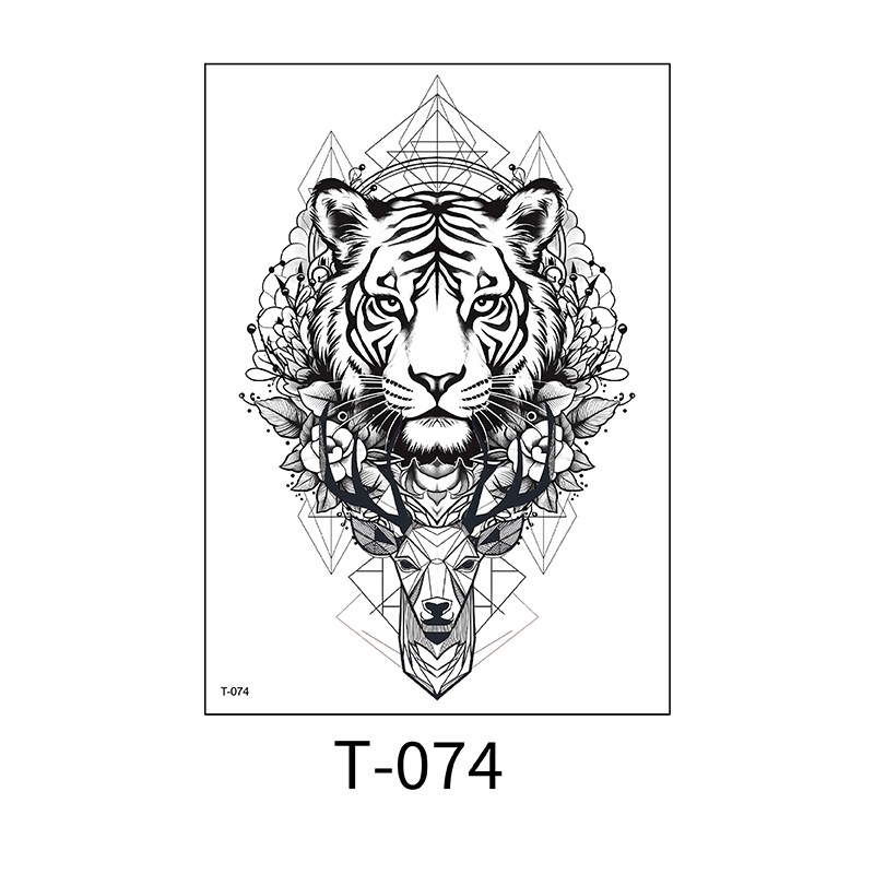 T-074