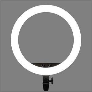 16 &quot;dual Color LED Circular <strong>Light</strong> with Adjustable Brightness for Live Streaming and Shooting - Product Image 1