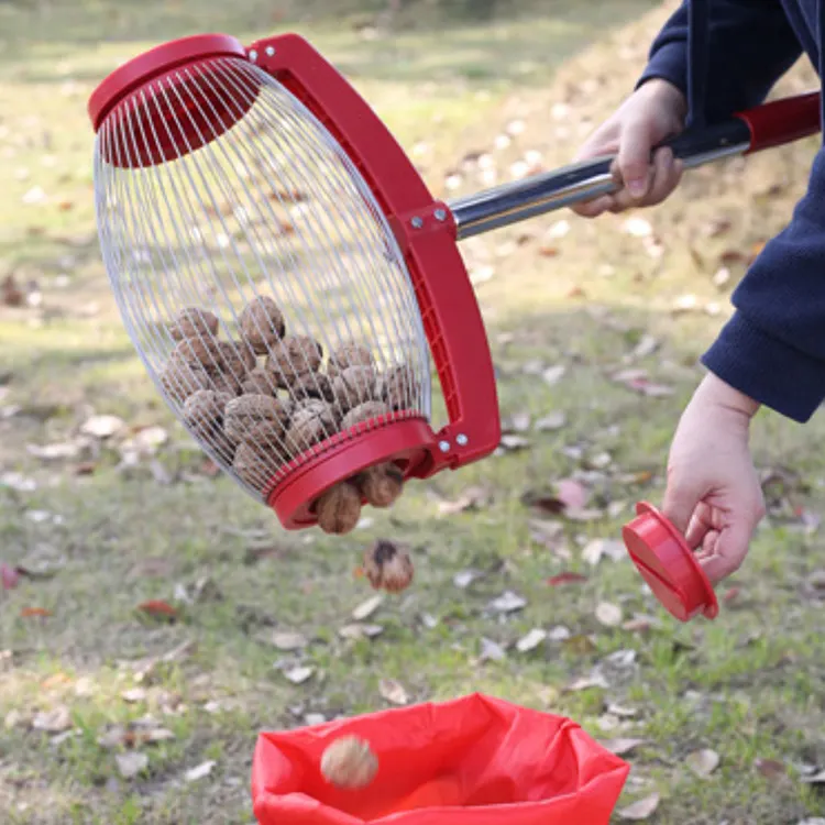 Cosechadora de nueces con poste, herramienta de jardín, recolector de bolas, bellotas, novedad de 2023