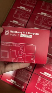 Ahududu Pi 4 nesil B Raspberrypi4 2gb geliştirme kurulu programlama Ai başlangıç kiti Python