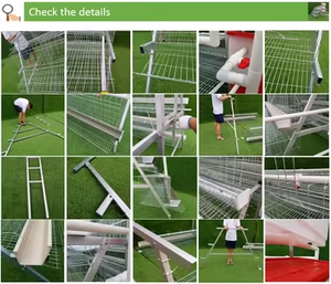 Bán Buôn 10000 Gà Pin Lồng Đẻ Gà 3/<span class=keywords><strong>4</strong></span> Tầng 96/120/128/160 Chim Trứng Lớp Gà Lồng Cho Gia Cầm Trang Trại - Product Image 2