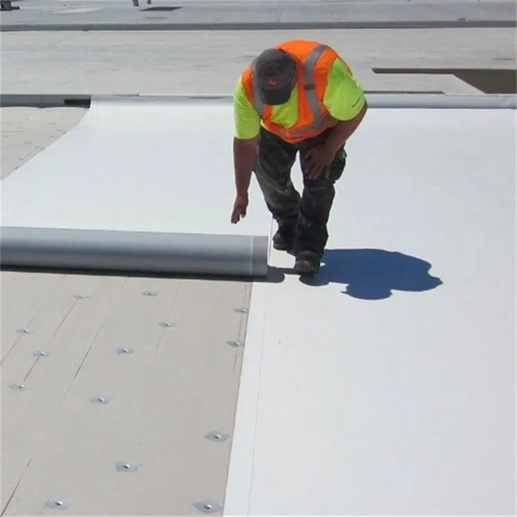 La perforazione della radice resiste al materiale in rotolo impermeabile in PVC per piantare l'impermeabilità sotterranea del tetto