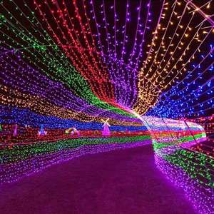 <strong>DMX512</strong> Control Programmable 220V Christmas Decoration Festival Landscape IP65 <strong>LED</strong> Fairy Outdoor <strong>String</strong> <strong>Light</strong> - Product Image 2