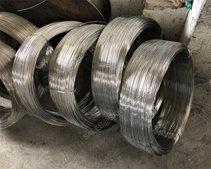 <strong>1.4310</strong> Stainless Steel Profile <strong>Wire</strong>