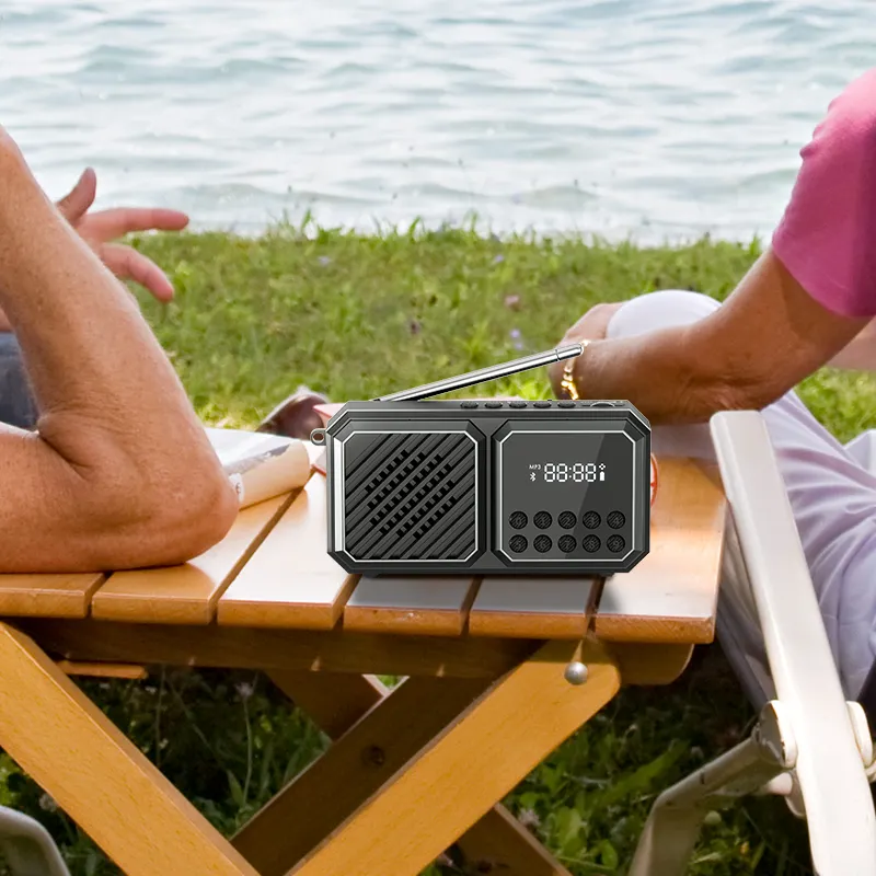 Nuevo diseño China SHIDU en línea Sub woofer inalámbrico FM Radio caja de sonido altavoz Bluetooth con grabación