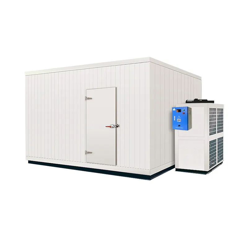 PROSKY New Design 20 ft 40 ft Feet Freezer Containers Meat Cold Room Frozen Chicken Agriculture Cold Storage