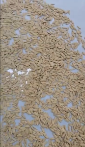Sunflower Seeds <strong>Sorting</strong> <strong>Machine</strong> Sunflower Seed Color Sorter <strong>for</strong> Black <strong>and</strong> White Seeds <strong>Shell</strong> <strong>Kernel</strong> - Product Image 5