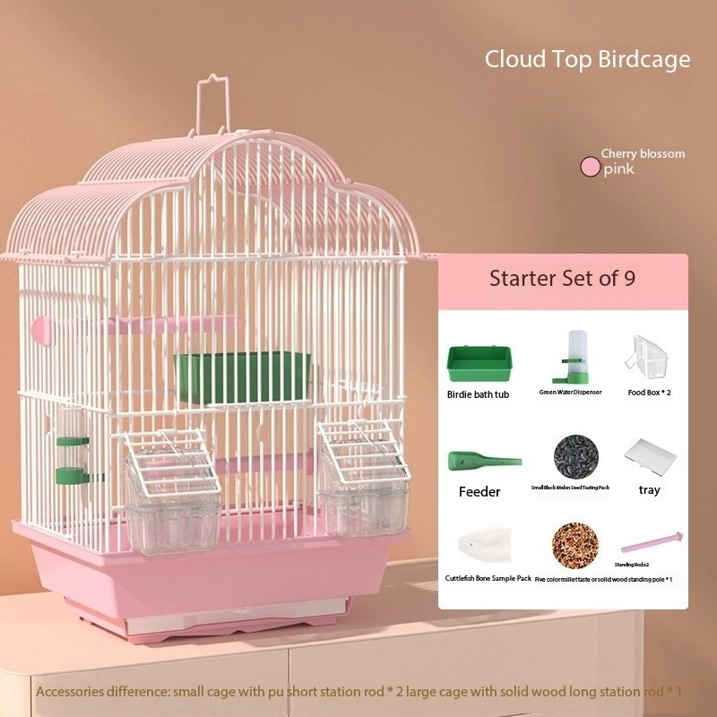 Rose-Ensemble de départ de 9