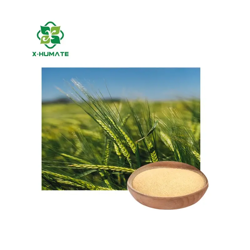 Fertilizante soluble en agua X-humate Fertilizante soluble en agua Agricultura aminoácido 40% min fertilizante orgánico