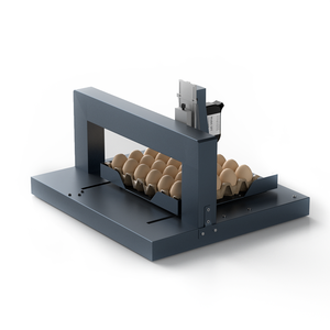 Hoch auflösende Eier tinten strahl-/Datums-Chargencode-Druckmaschine Touchscreen-Steuerung Chargen nummer Eier-Tinten strahl drucker - Product Image 6