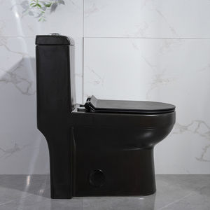 中国の屋外トイレから商品を購入するブラックマットウォータークローゼットブラックワンピーストイ