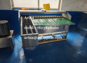 Automatische Eigewichts klassifizierung maschine Eier sortiermaschine Eier sortiermaschine mit Drucker - Product Image 5