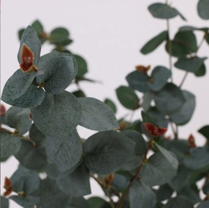 Bán buôn hình trái tim nhân tạo bạch đàn lá để bán - Product Image 6