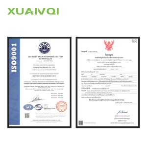 XUANQI 100A devre kesici 100 adet/karton MCB 2P devre kesici - Product Image 5