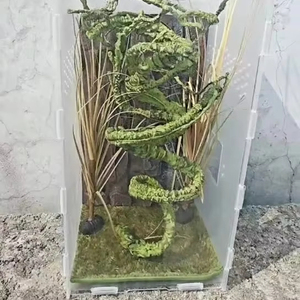 זחלר תיבה אחת סנטימטר עבה עץ גפן גפן ענף לטאה טיפוס נוף חיות מחמד ירוק מספק צמחים ירוקים