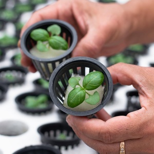 Thủy Canh lưới trồng rau giỏ soilless trồng cây nhựa phát triển cup Rooter Net nồi - Product Image 2