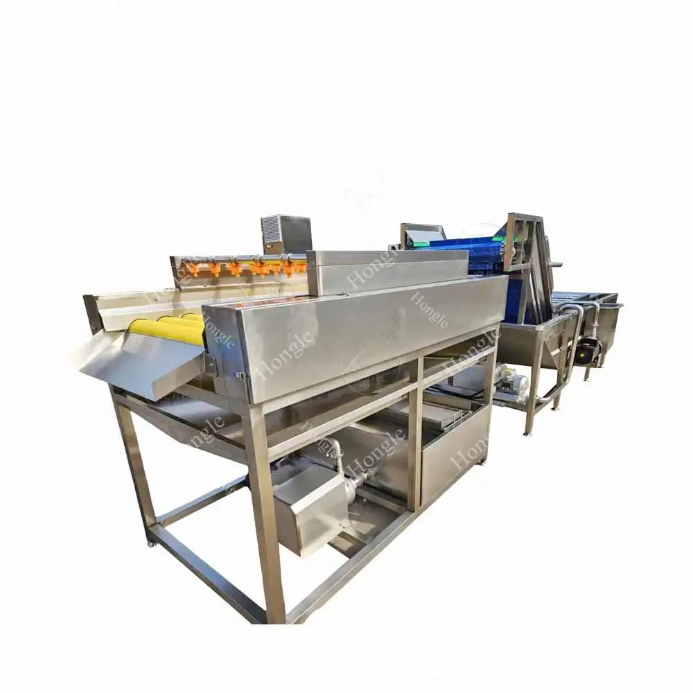 Obst- und Gemüsewaschanlage Kartoffelreinigung Schneid- und Verpackungsmaschine Gemüsewasch- und Trocknungsmaschine