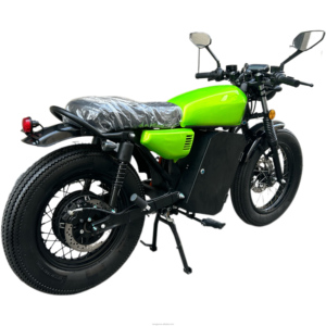 6 vitesli dişli disk fren sistem kaya ve rulo tarzı ile heyecan verici 60V arka Hub elektrikli bisiklet - Product Image 3