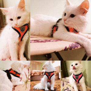 Skynuo Nylon Mesh Cats <strong>Harness</strong> Adjustable Soft Vest Walking Leash and Chest <strong>Harness</strong> for <strong>Small</strong> and Medium <strong>Dogs</strong> and Cats Pets - Product Image 2