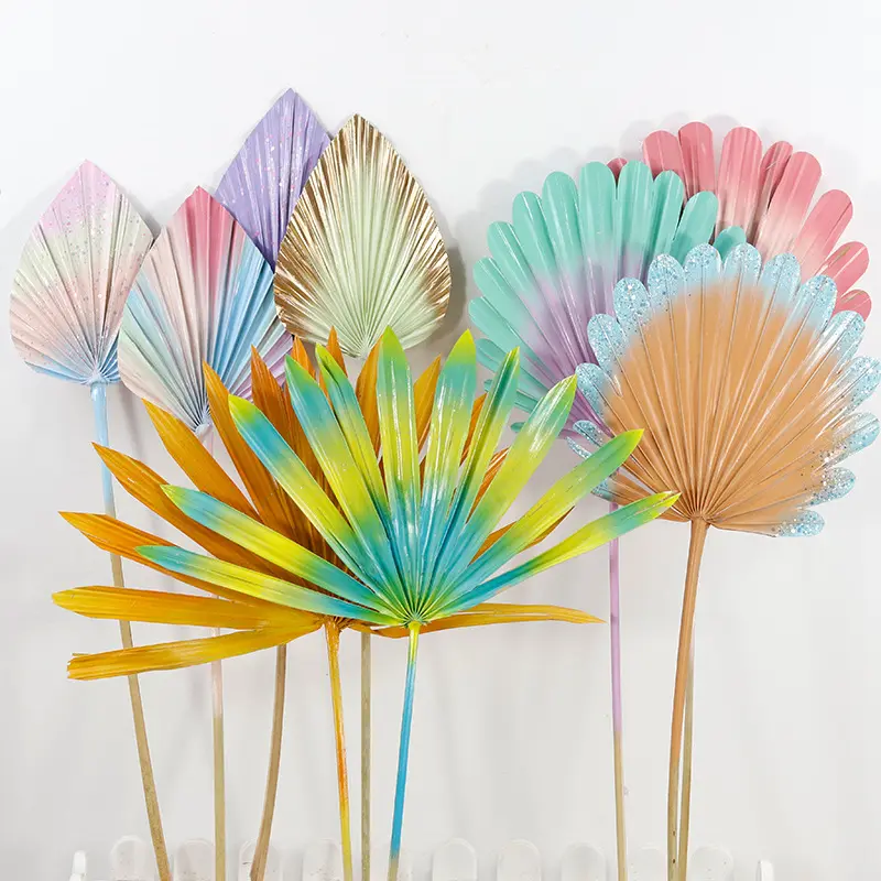 Palm leaf cattail fan dry flower DIY home decoration spray painting gold sprinkling colored small fan Guanyin fan material