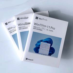 Win11 Pro OEMキーオンラインアクティベーションファクトリー新しいリカバリUSBインストール日本版 - Product Image 2