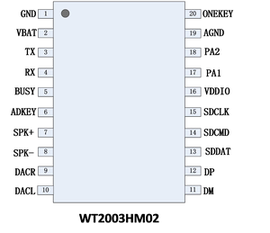 WT2003HM02 supporto standard di comunicazione seriale asincrona (UART) modulo vocale di alta qualità