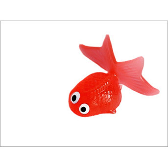 Jouet aquatique - Grand poisson rouge (couleur aléatoire)