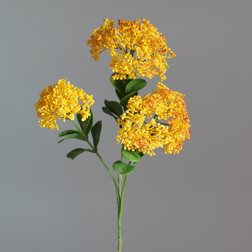 Giallo