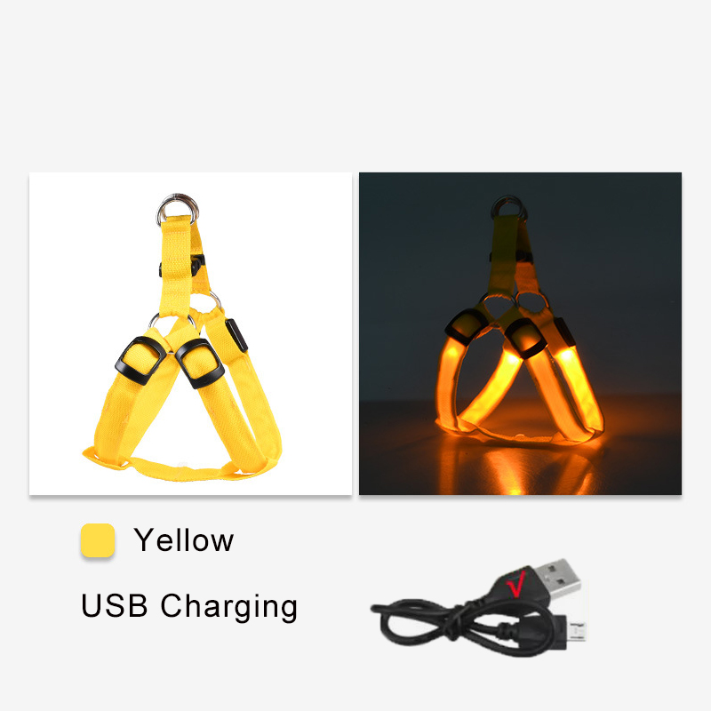 Chargement USB jaune