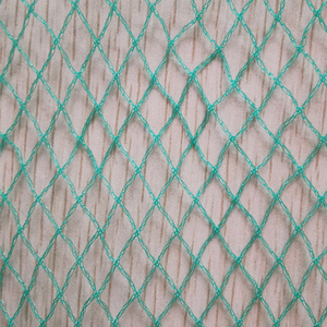 100% neues HDPE <span class=keywords><strong>Bird</strong></span> Netting Kunststoff Pflanzens chutz Insekten netz Knottless <span class=keywords><strong>Anti</strong></span> <span class=keywords><strong>Bird</strong></span> <span class=keywords><strong>Net</strong></span> für Apple <span class=keywords><strong>Grape</strong></span> <span class=keywords><strong>Tree</strong></span> Rice Farmers