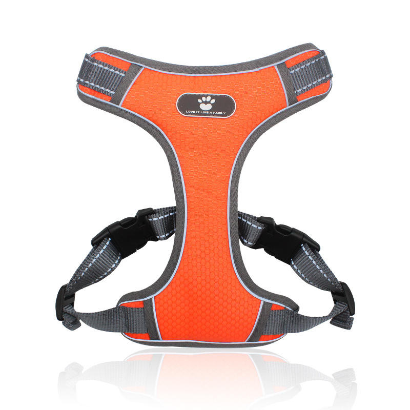 Harness Orange
