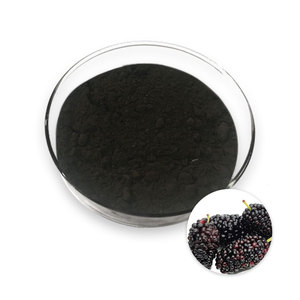 Antocianidinas <span class=keywords><strong>Mulberry</strong></span> Fruit Extract Pó Origem chinesa Premium <span class=keywords><strong>Mulberry</strong></span> Leaf Extract for Health <span class=keywords><strong>Benefits</strong></span> - Product Image 2