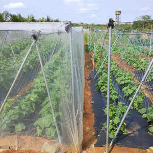 Nuovo materiale HDPE polietilene agricolo albero da frutto reti quadrate rete biologica rete per evitare mosche della frutta