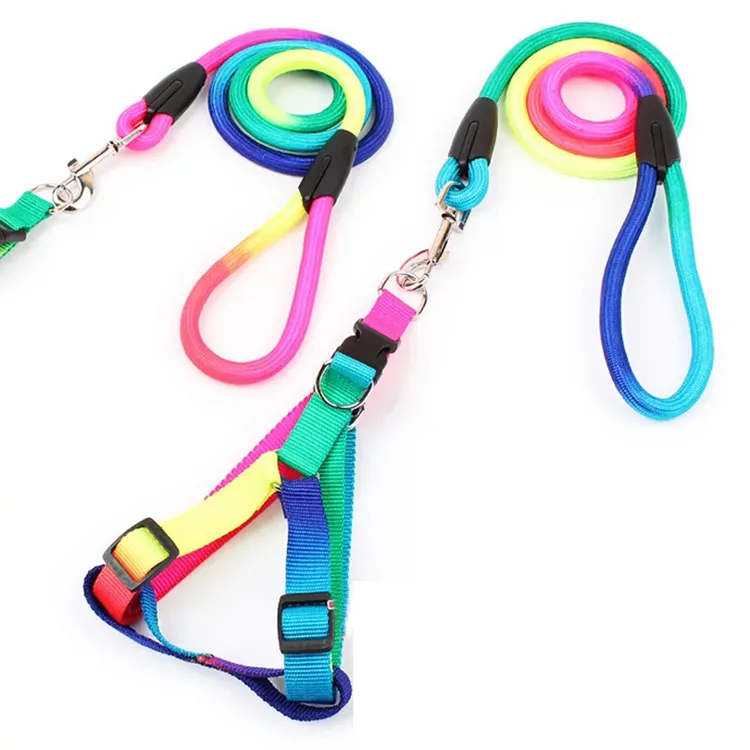 2023 Rainbow Color Nylon Collar&Leash Set For Pet Dog Adjustable
