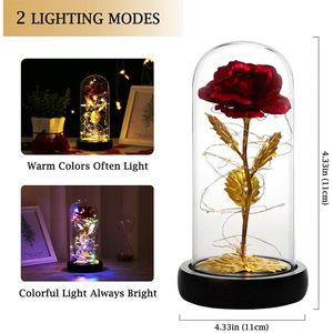 ขายส่งสายรุ้งประดิษฐ์สว่างโรซาในแก้วดอกไม้พลาสติกสีสันสดใสพร้อมไฟ LED กาแล็กซี่โรสในโดมแก้วสําหรับวันแม่ - Product Image 4