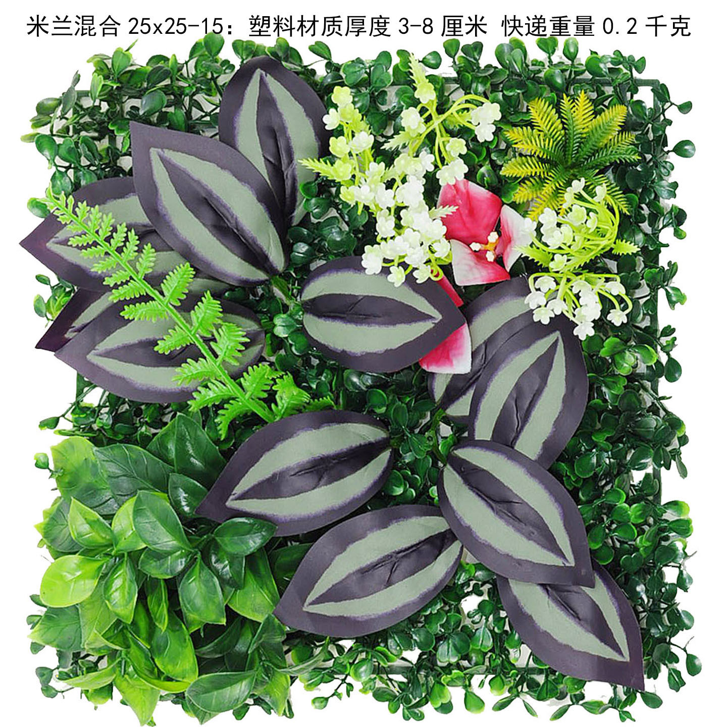 25x25 cm herbe de Milan mixte-15