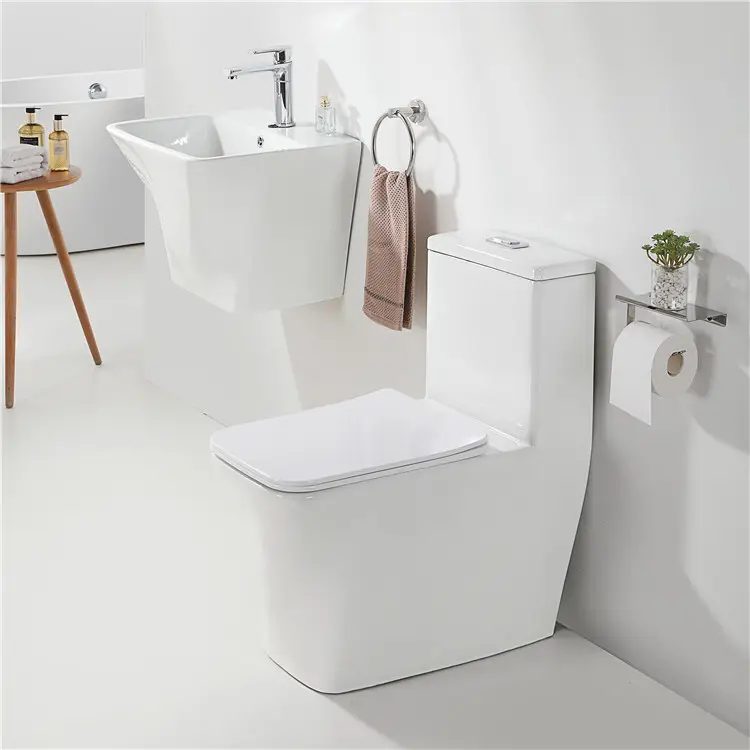 Set di articoli sanitari in porcellana unico bagno lavandino lavabo e un pezzo in ceramica bagno wc set wc