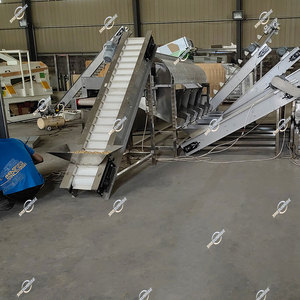 Industrial Automatic Macadamia Grading <strong>Sorting</strong> <strong>Machine</strong> Breaking Macadamia Nut Cracking <strong>Shelling</strong> Processing Equipment - Product Image 4