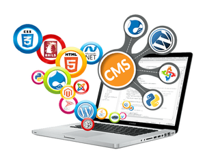 Best User Interface Dynamic <strong>Website</strong> <strong>Designing</strong> <strong>and</strong> Development by Professional <strong>Website</strong> Designers