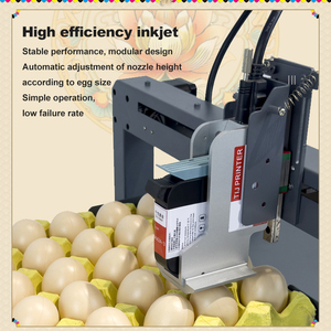 Wiseprint Tij Expiry Date Printing <strong>Machine</strong> Egg Number Batch Coding Laser Marking <strong>Machine</strong> <strong>Hs</strong> <strong>Code</strong> CM-WPEGG01 Egg Coding <strong>Machine</strong> - Product Image 3