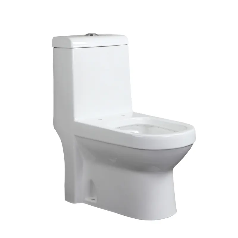 Articles sanitaires en céramique Wc salle de bains toilettes marque double chasse d'eau montée au sol toilette monobloc