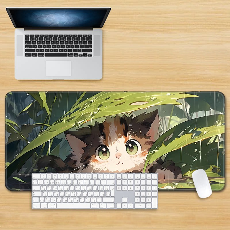 chaton 88604