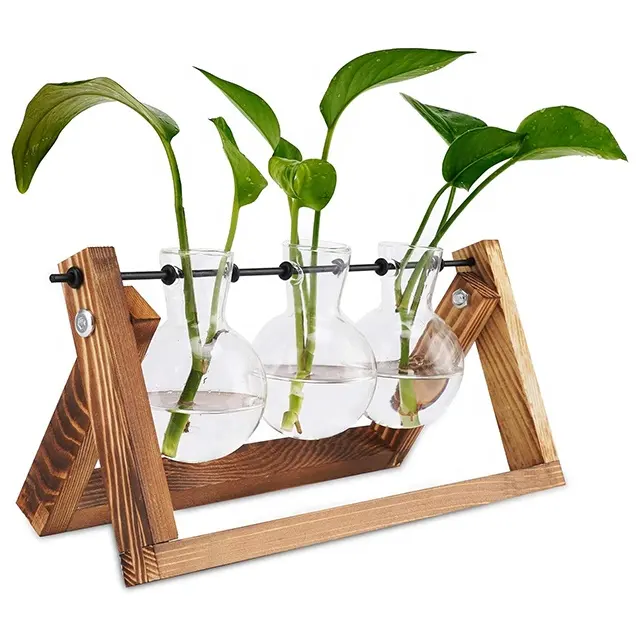 Carino supporto per piante di vetro per piante idroponiche talee di vetro da tavolo fioriera vaso pianta aria terrario con vassoio in legno