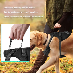 Gacent-correas elásticas para correa de perro, accesorio de nailon reflectante personalizado, poliéster, retráctil, plegable, Bungee acolchado - Product Image 5