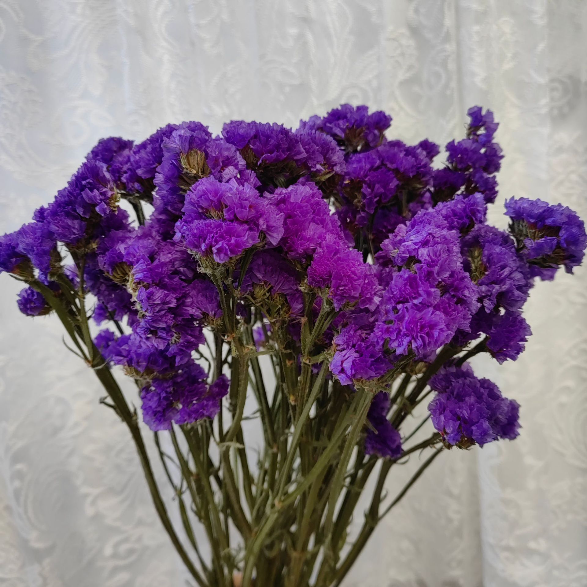 Deep purple