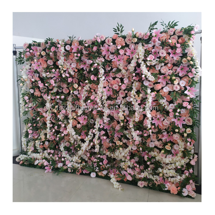 rosa b