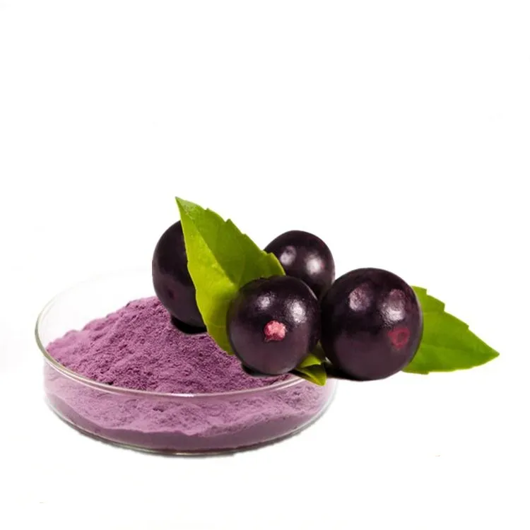 Polvo de extracto de baya de Acai congelado concentrado de alta energía nutritivo